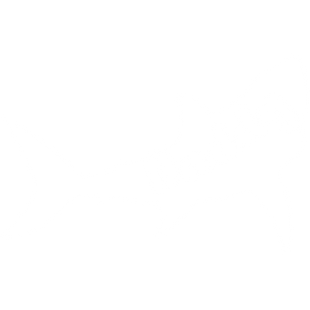 products/RB-0667-DADDY-SHARK.png