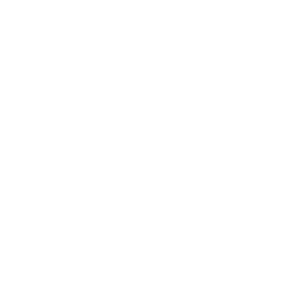 CLOVER GLASSES