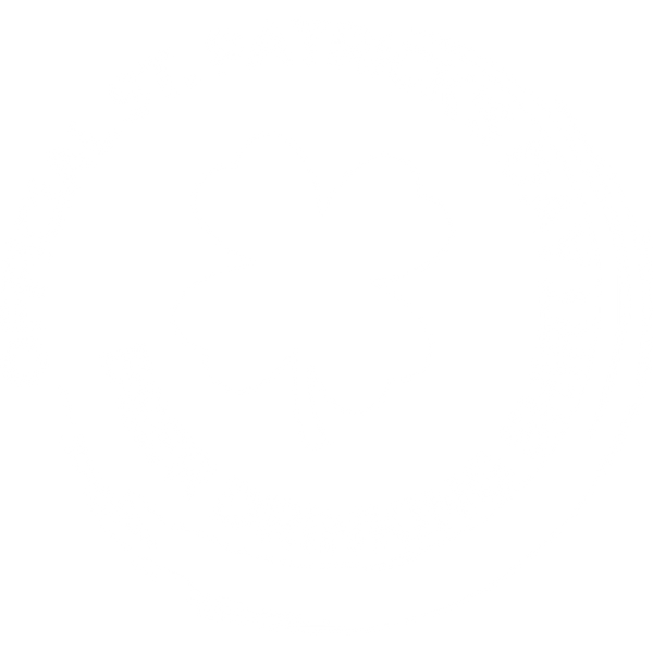 Official St. Patrick's Day Beer Drinking Shirt